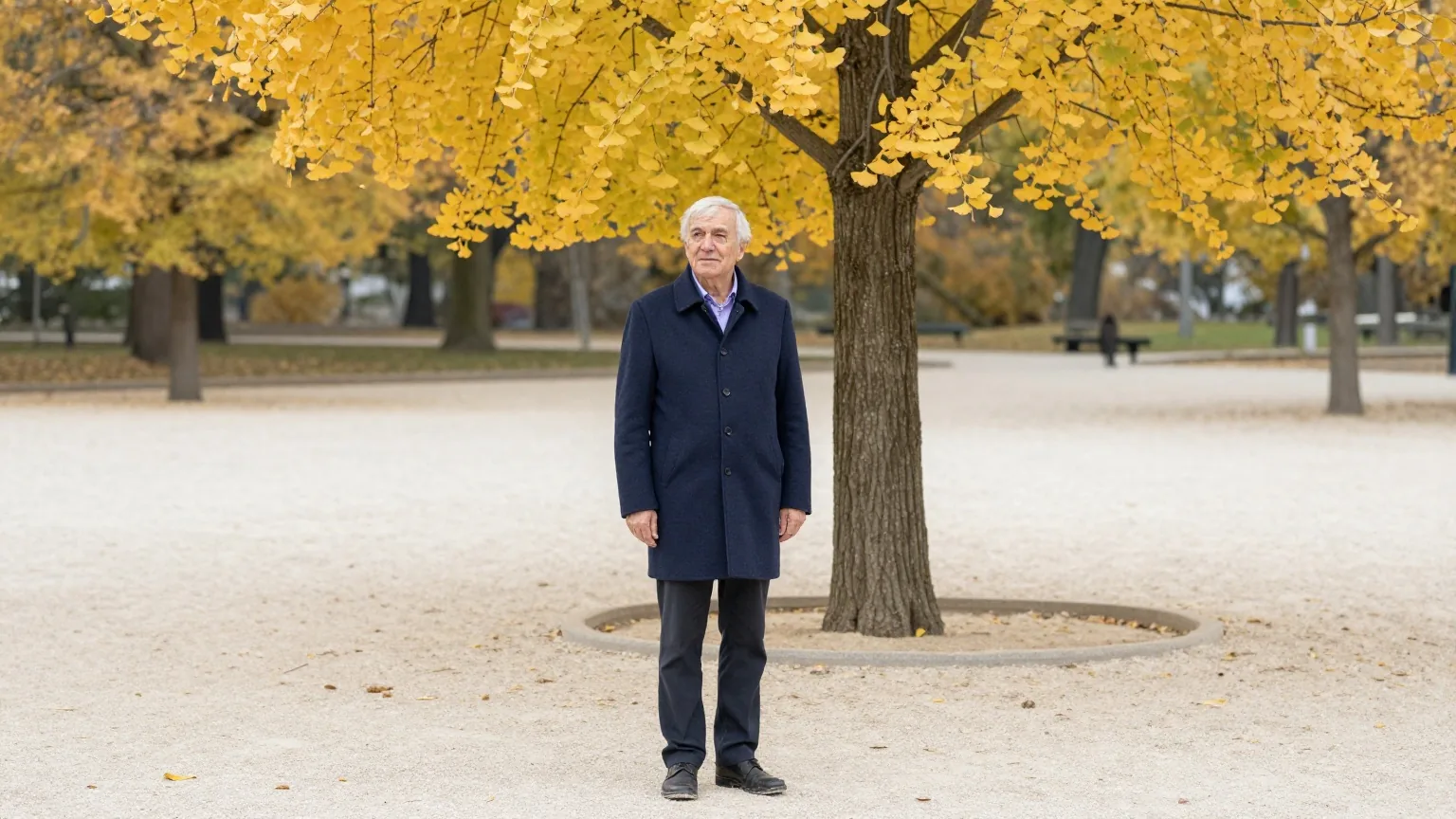 Mann Anfang siebzig steht an einem ruhigen Herbstmorgen unter einem Ginkgobaum mit goldgelben Blättern in einem Park